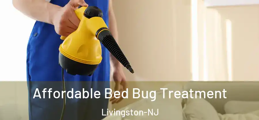 Affordable Bed Bug Treatment Livingston-NJ