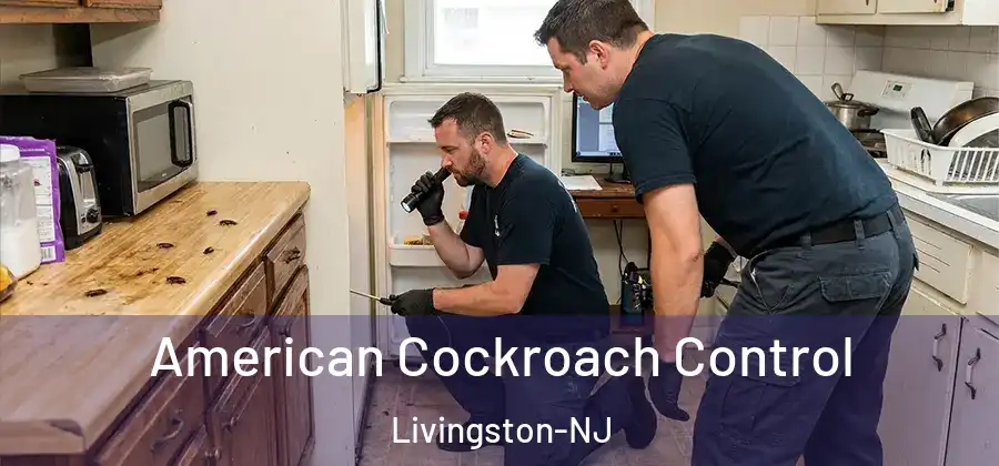 American Cockroach Control Livingston-NJ
