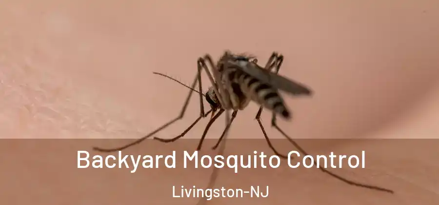 Backyard Mosquito Control Livingston-NJ