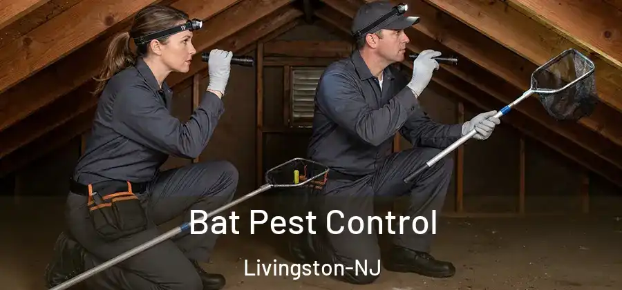 Bat Pest Control Livingston-NJ