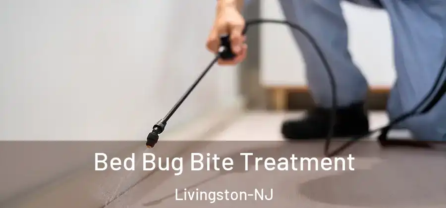 Bed Bug Bite Treatment Livingston-NJ