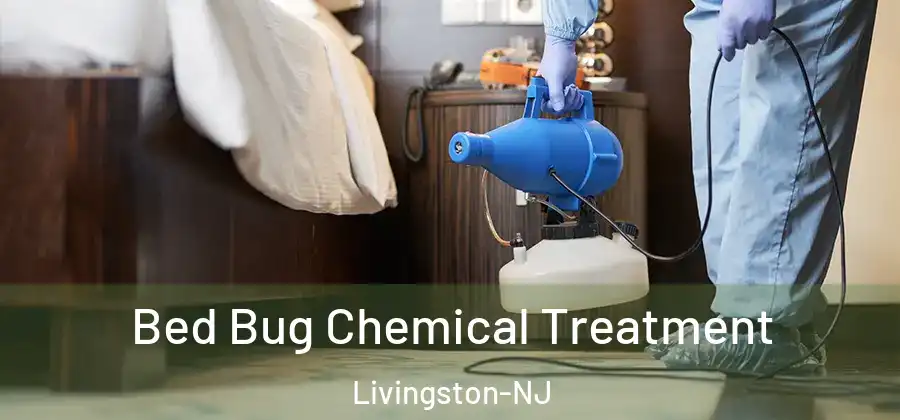 Bed Bug Chemical Treatment Livingston-NJ