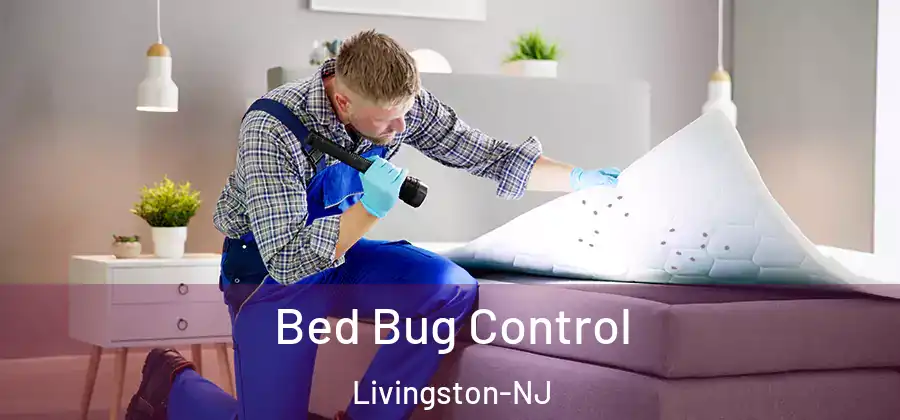 Bed Bug Control Livingston-NJ