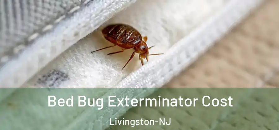 Bed Bug Exterminator Cost Livingston-NJ