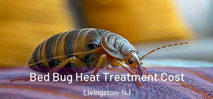 Bed Bug Heat Treatment Cost Livingston-NJ