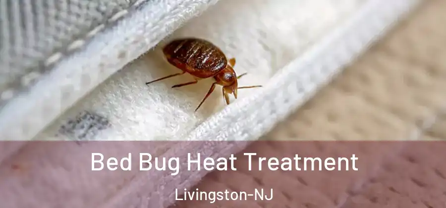 Bed Bug Heat Treatment Livingston-NJ