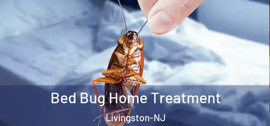 Bed Bug Home Treatment Livingston-NJ