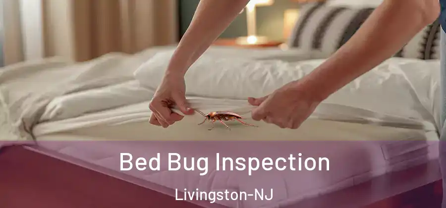 Bed Bug Inspection Livingston-NJ