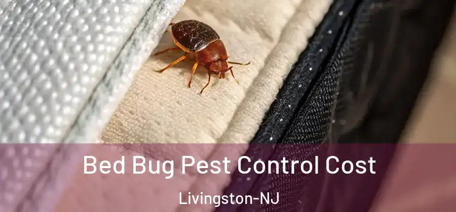 Bed Bug Pest Control Cost Livingston-NJ
