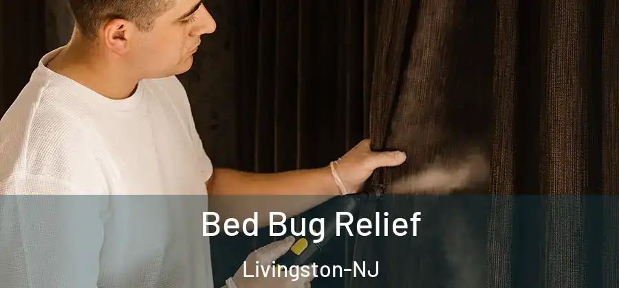 Bed Bug Relief Livingston-NJ