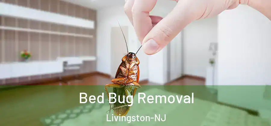 Bed Bug Removal Livingston-NJ