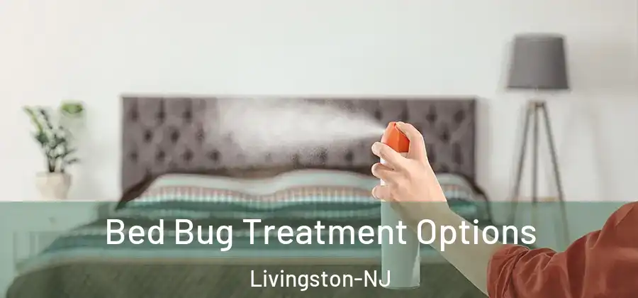 Bed Bug Treatment Options Livingston-NJ