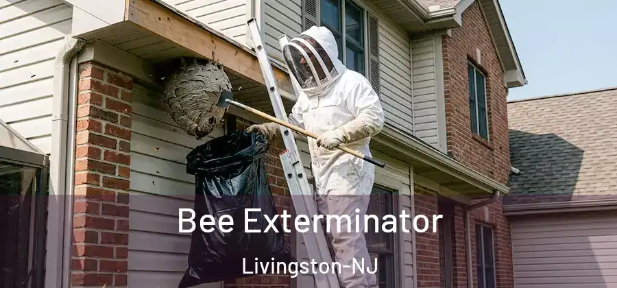  Bee Exterminator Livingston-NJ