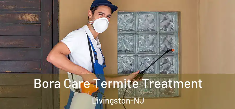 Bora Care Termite Treatment Livingston-NJ
