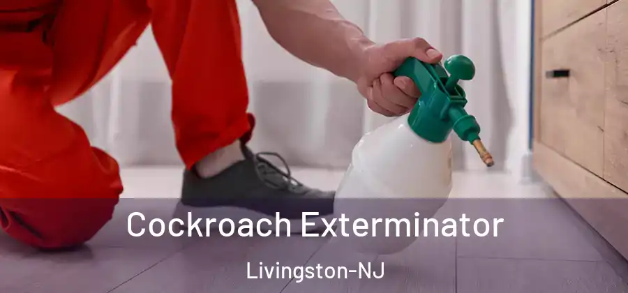  Cockroach Exterminator Livingston-NJ