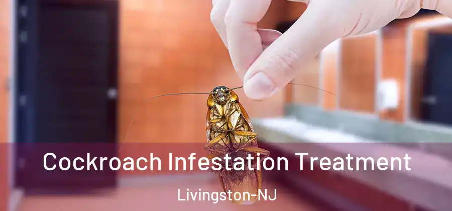 Cockroach Infestation Treatment Livingston-NJ