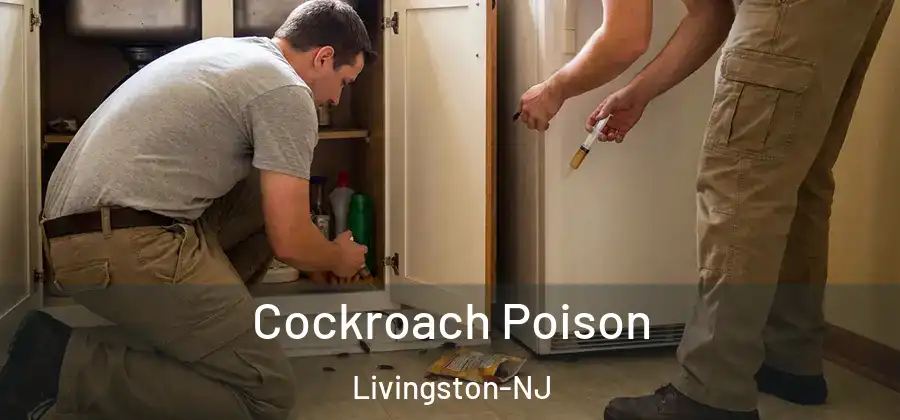 Cockroach Poison Livingston-NJ