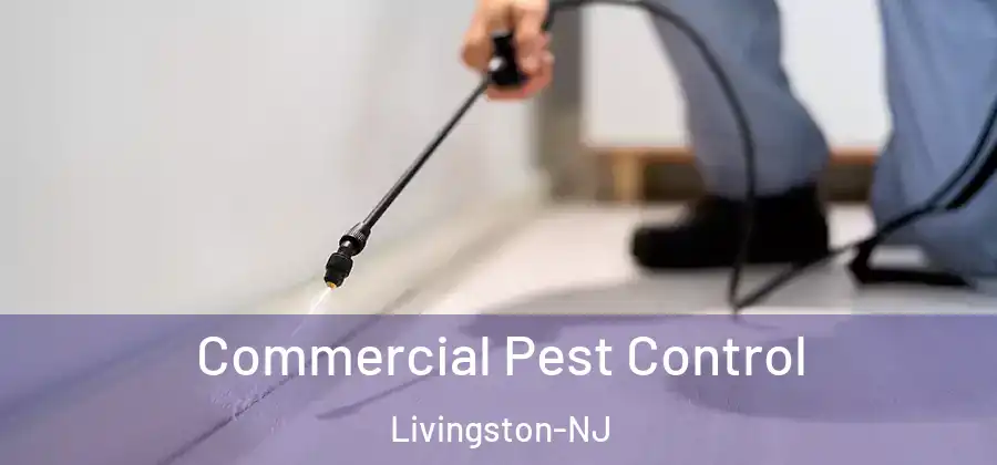 Commercial Pest Control Livingston-NJ