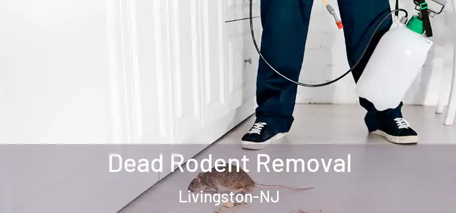 Dead Rodent Removal Livingston-NJ