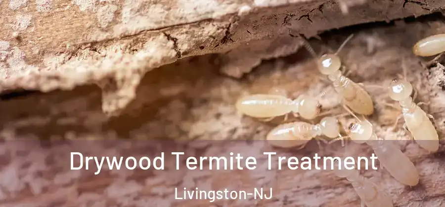 Drywood Termite Treatment Livingston-NJ