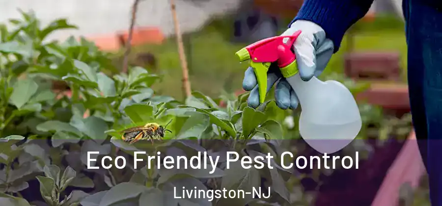 Eco Friendly Pest Control Livingston-NJ