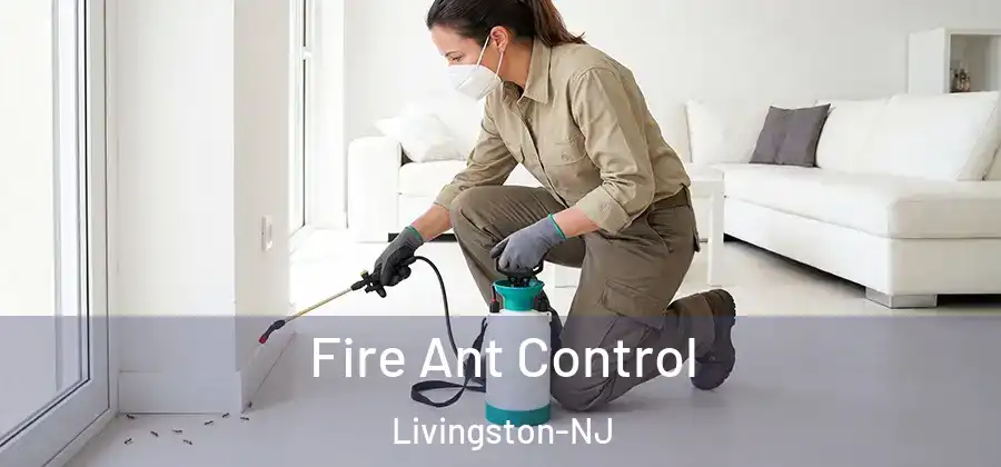 Fire Ant Control Livingston-NJ