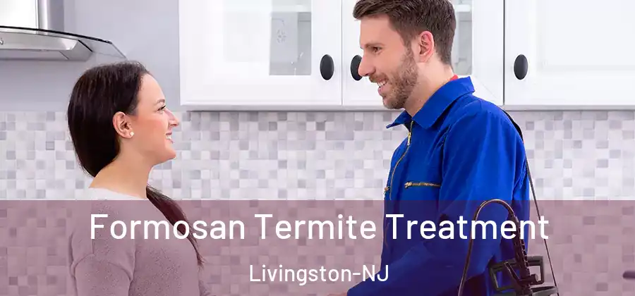 Formosan Termite Treatment Livingston-NJ