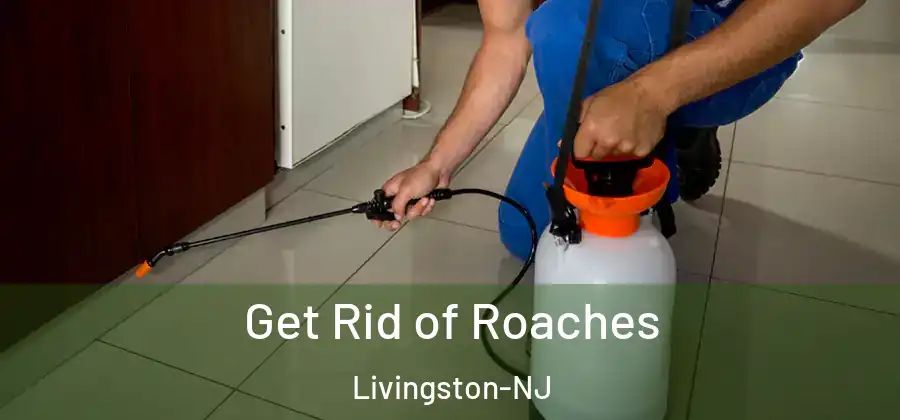 Get Rid of Roaches Livingston-NJ