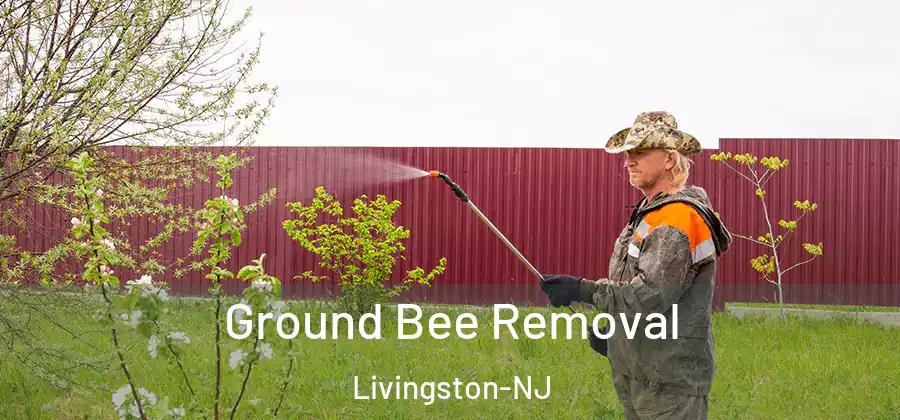 Ground Bee Removal Livingston-NJ