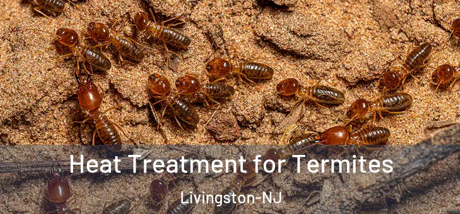  Heat Treatment for Termites Livingston-NJ