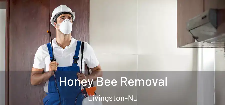 Honey Bee Removal Livingston-NJ