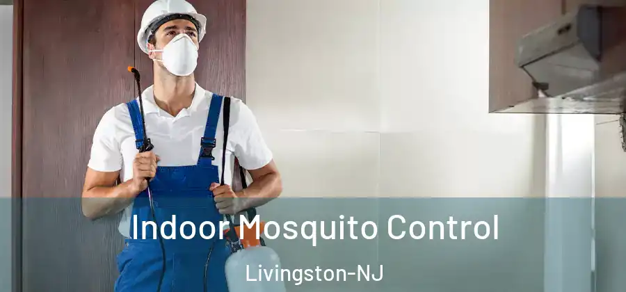 Indoor Mosquito Control Livingston-NJ