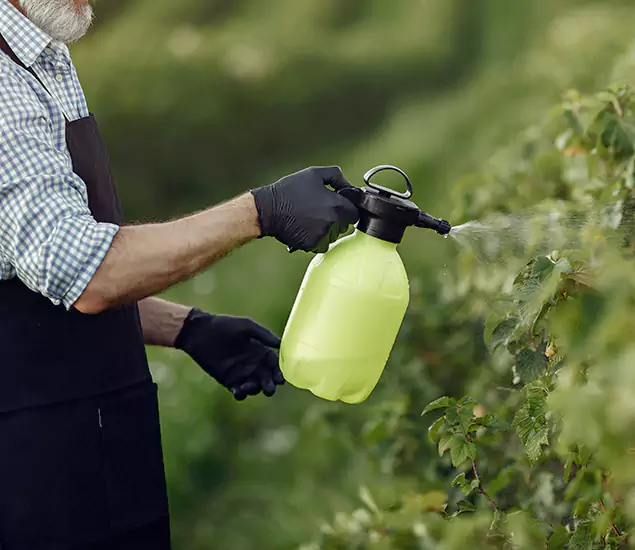 Your Proven Mosquito Treatment Company in Livingston, NJ