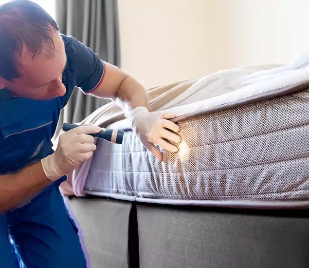 Trusted Bed Bug Cost Experts in Livingston, NJ