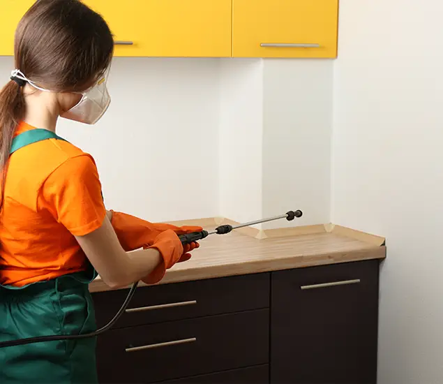 Trusted Bed Bug Pest Control Specialist in Livingston, NJ