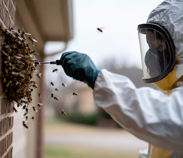 Your Bee Removal Company in Livingston, NJ