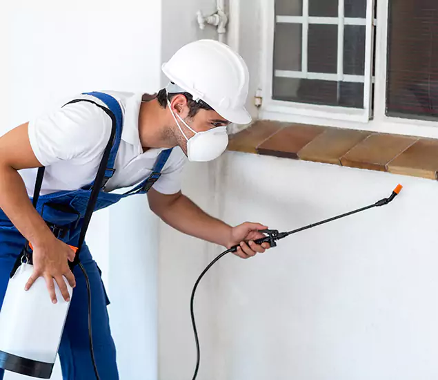 Your Professional Cockroach Exterminator in Livingston, NJ