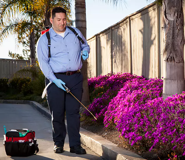 About Our Eco Safe Pest Control Experts in Livingston, NJ