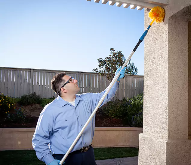 Trusted Experts in Livingston NJ for Formosan Termite Treatment and Black Termite Control