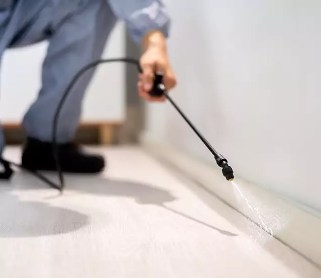 About Our Liquid Termite Treatment Experts in Livingston, NJ