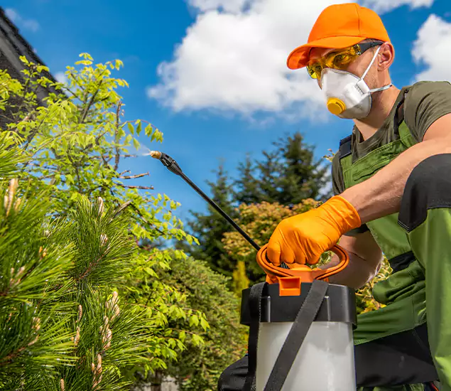 Your Mosquito Repellent Barrier Service in Livingston, NJ