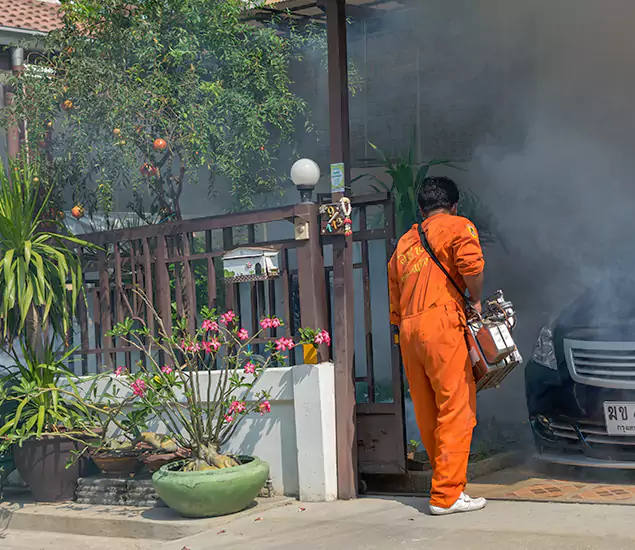 Your Proven Mosquito Fogging Company in Livingston, NJ