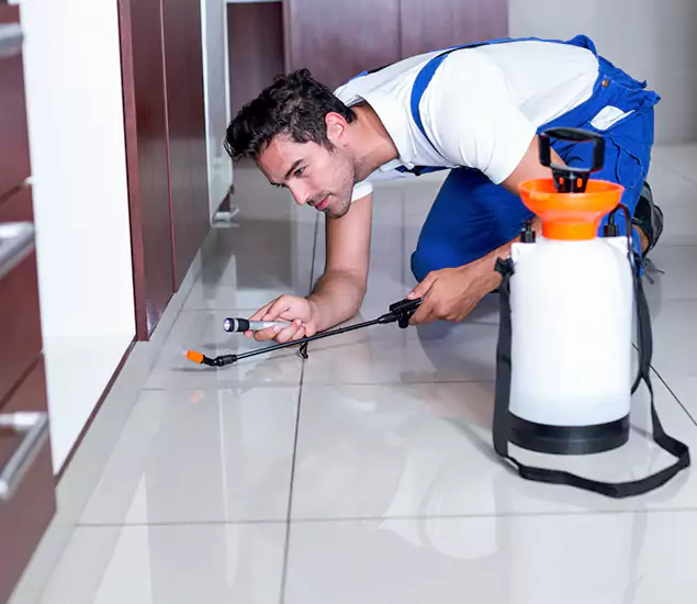 Reliable Professional Mouse Removal: Your Best Mouse Control Company in Livingston, NJ