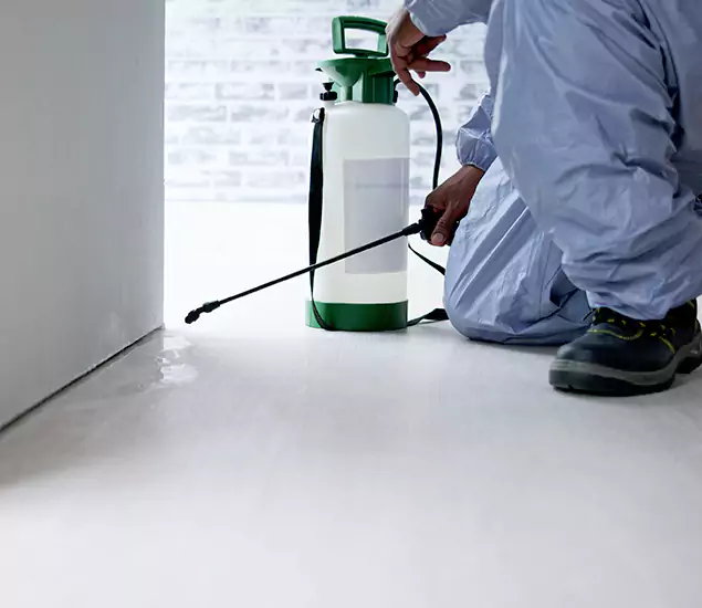 Affordable Pest Control Experts in Livingston, NJ