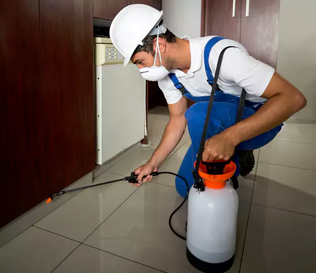 Advanced Termite Pre Treatment Experts in Livingston, NJ