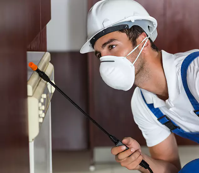 Expert Cockroach Exterminator: Your Roach Control Services in Livingston, NJ