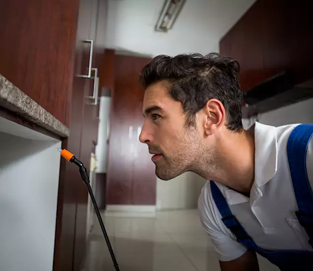Expert Rodent in Attic Removal: Your Proven Pest Specialists in Livingston, NJ
