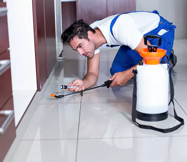 Advanced Slab Termite Treatment Experts You Can Trust&nbsp;in Livingston, NJ
