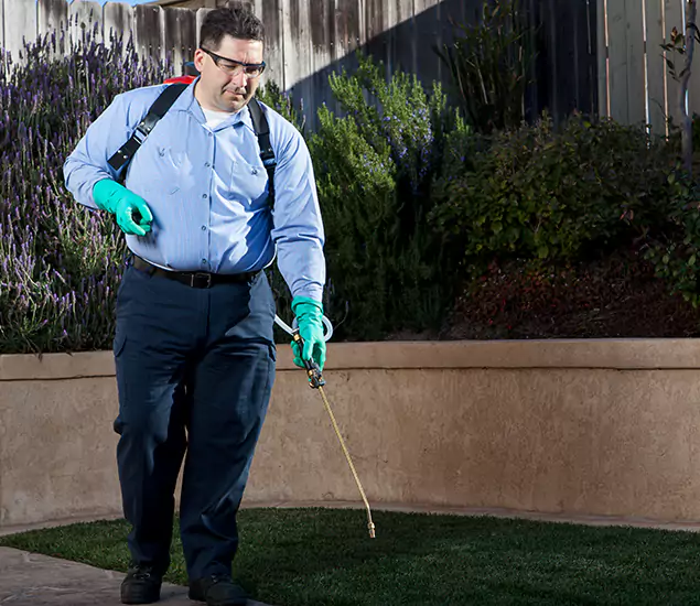 Reliable Termite Barrier Treatment Experts in Livingston, NJ