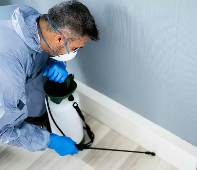 Reliable Termite Cost Experts in Livingston, NJ